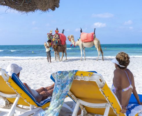 TUNISIA. (SOUTH TUNISIA) DJERBA ISLAND. BEACH OF SIDI MEHREZ. CAMELS USE FOR SIGHTSEEING TOURS (Photo by NORBERT SCANELLA / ONLY WORLD / Only France via AFP)