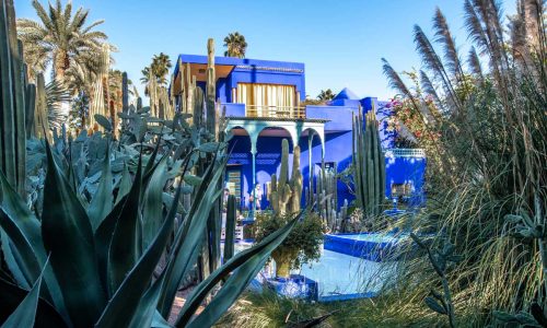 what-not-to-do-in-marrakesh-jardine-majorelle